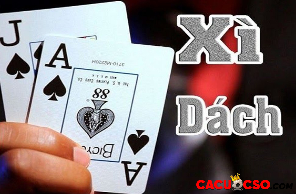 xì dách là gì
